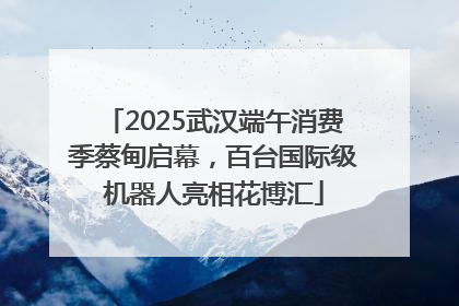 2025武汉端午消费季蔡甸启幕，百台国际级机器人亮相花博汇
