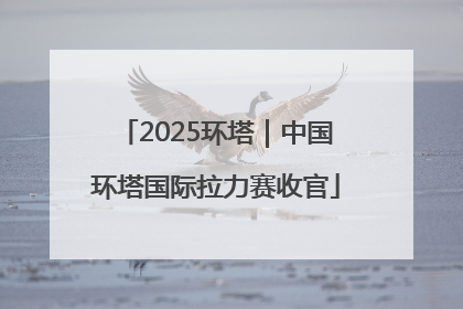 2025环塔｜中国环塔国际拉力赛收官