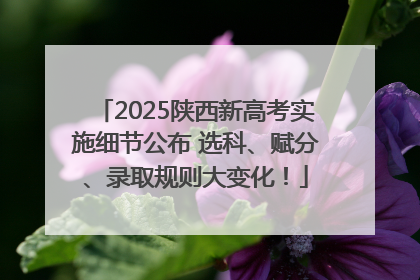 2025陕西新高考实施细节公布 选科、赋分、录取规则大变化！