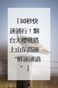 30秒快速通行！烟台大樱桃搭上山东高速“鲜速通道”