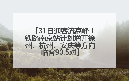 31日迎客流高峰！铁路南京站计划增开徐州、杭州、安庆等方向临客90.5对