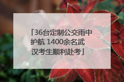 36台定制公交雨中护航 1400余名武汉考生顺利赴考
