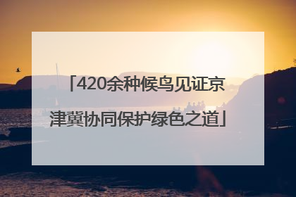 420余种候鸟见证京津冀协同保护绿色之道