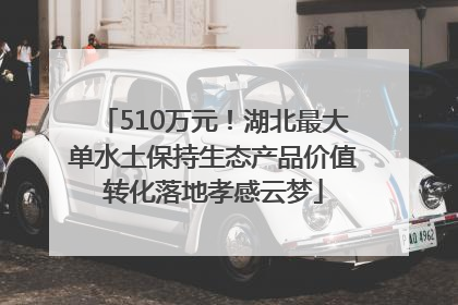 510万元！湖北最大单水土保持生态产品价值转化落地孝感云梦