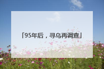 95年后，寻乌再调查