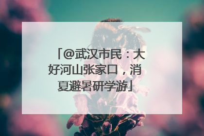 @武汉市民：大好河山张家口，消夏避暑研学游