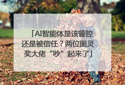 AI智能体是该管控还是被信任？两位图灵奖大佬“吵”起来了