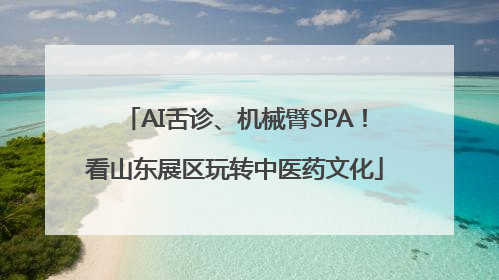 AI舌诊、机械臂SPA！看山东展区玩转中医药文化