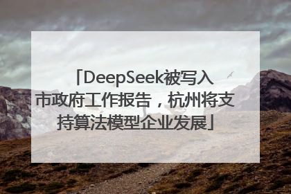 DeepSeek被写入市政府工作报告，杭州将支持算法模型企业发展