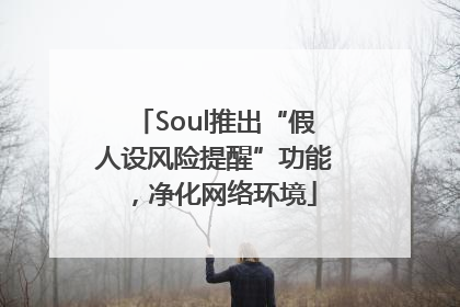 Soul推出“假人设风险提醒”功能，净化网络环境