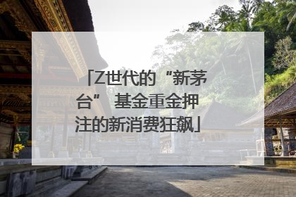 Z世代的“新茅台” 基金重金押注的新消费狂飙